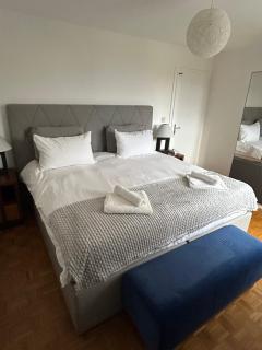 Stunning apartment with lake view - Montreux - 3