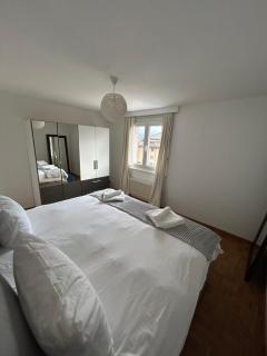 Stunning apartment with lake view - Montreux - 2