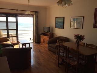 Casa da Praia - Vila Praia de Âncora - 3