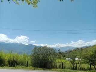 PALO ALTO Soatá - Soatá - 7