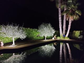 AU VALLON ROUGE (Studio) - Saint-Paul-de-Vence - 8