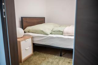 Wohnung in Loschwitz mit Parkplatz - Dresda - 8