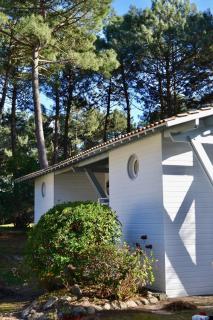 Villa avec piscine sur le golf entre lac et Océan - Biscarrosse - 6