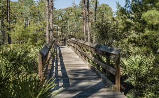 Dreamy Afterdune - Santa Rosa Beach - 6