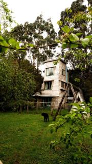 Unique tree house hideaway - Ancud - 0