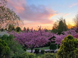 Sequoia Vacation Rental - Milton - 6
