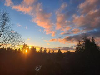 Sequoia Vacation Rental - Milton - 5