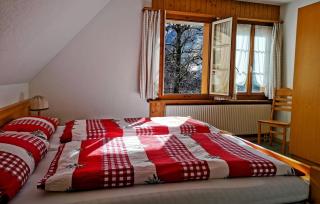 Gasthof Kreuz Marbach - Marbach - 3