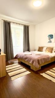 Phoenix Central Apartments Sibiu - Sibiu - 8