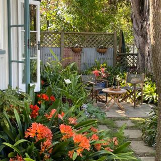 Wisteria Cottage - Russell - 8