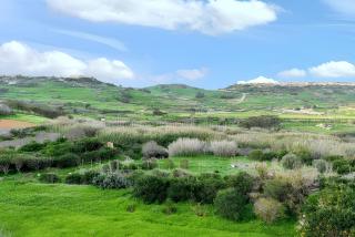 Sea View Apartment in Iż-Żebbuġ - 4