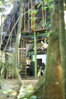 Bamboo Cabana Adams Peak - Nallathanniya - 9
