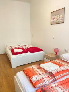 Apartment in the centre of Prague - Prague - 5