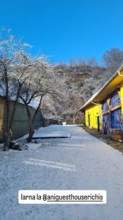 Ani GuestHouse Richis - Richişu - 8
