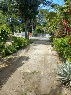 The Gibson's Palace - Ocho Rios - 9