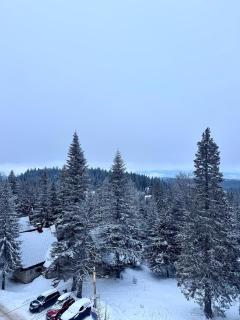 Bella Lux Jahorina - 1