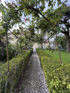 Quinta Do Scoto - Sintra - 1