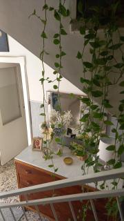 La Casetta di Anna - 7