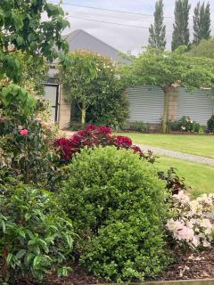 Modern spacious apartment - Temuka - 7