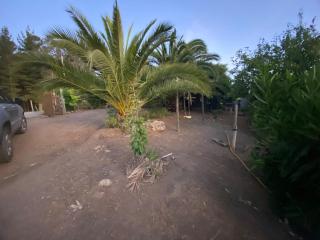 Casa Maitenes - - 8