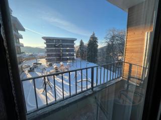 Studio apartment in Bakuriani - 7