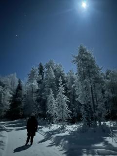 Elves Cabin Wagon - Rovaniemi - 6