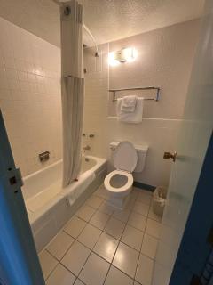 Studio Apartments - 1