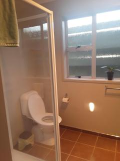 Di's B&B unit 2 - Matamata - 3