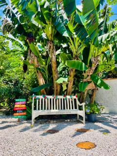 Casa com banheira - 2