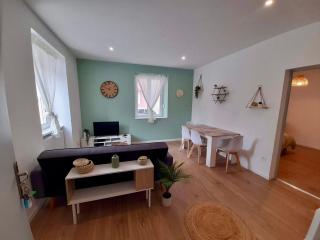 T2 Spacieux et Confortable - Mulhouse - 0