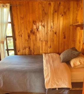 Las cabañas de don beto - 2