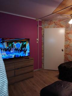 oll appartmant only for you - Tallinn - 1