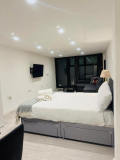Large Studio in Marylebone - Londra - 1