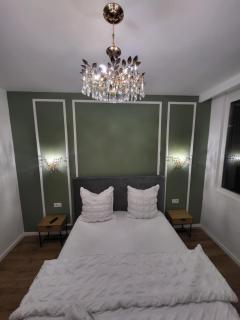 Sika Prestige Apartment - Arad - 4