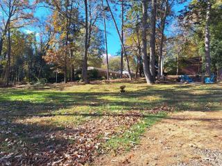 Quiet Retreat for Business or Family Trip - Charlotte - 1