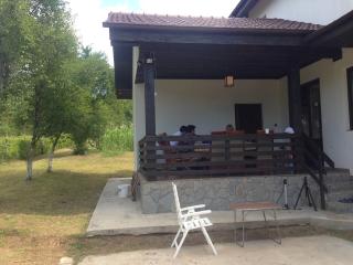 Pensiunea Zina - Tisău - 9