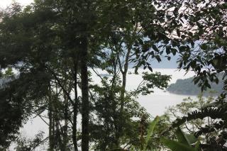 Espaço Cítara oficial - Praia Grande - 6