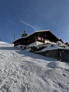 Studio Chalet Sunnehöckli - Hasliberg - 7