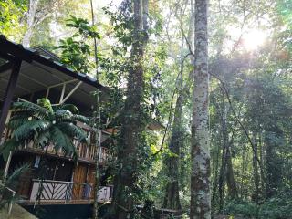 Cool Waters Jungle Hostel - 8