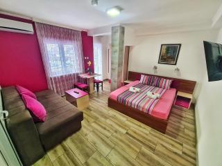 Vila Aleksandra 2 Studio 12 - Soko Banja - 9