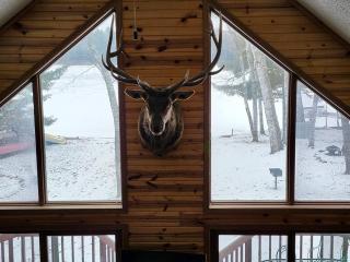 Bayview 1 Cabin - Mercer - 8