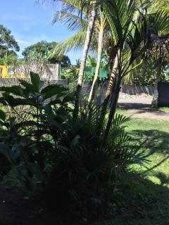 RoomsMagisPalmera - 6