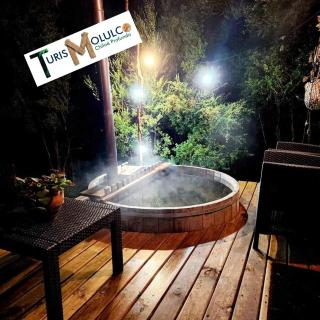 Quellón ,Chonchi ,Natri,Molulco - 0