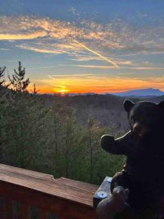 Beautiful Bear Haven - Sevierville - 8