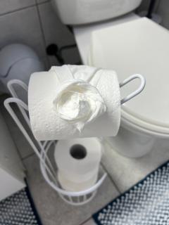 Entire Basement Apartment - 6