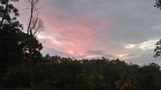 Luxury Peak Villa - 9