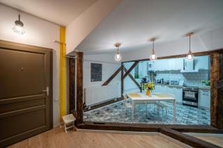Loft in 1902 Art-Nouveau Villa - Oradea - 9