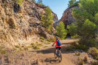 Bark and Bike Abode home - 4