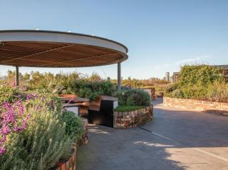 Urban Cafes and Green Spaces - Sydney - 4