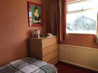 Lowri Cottage B&B - Birmingham - 6